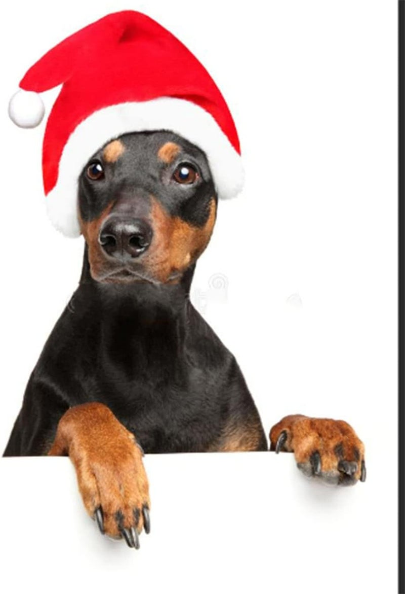 ProCover 2Pcs Mini Dog Santa Hat for Dog Christmas Hat, Christmas Party Dressup(Red) - Image 4